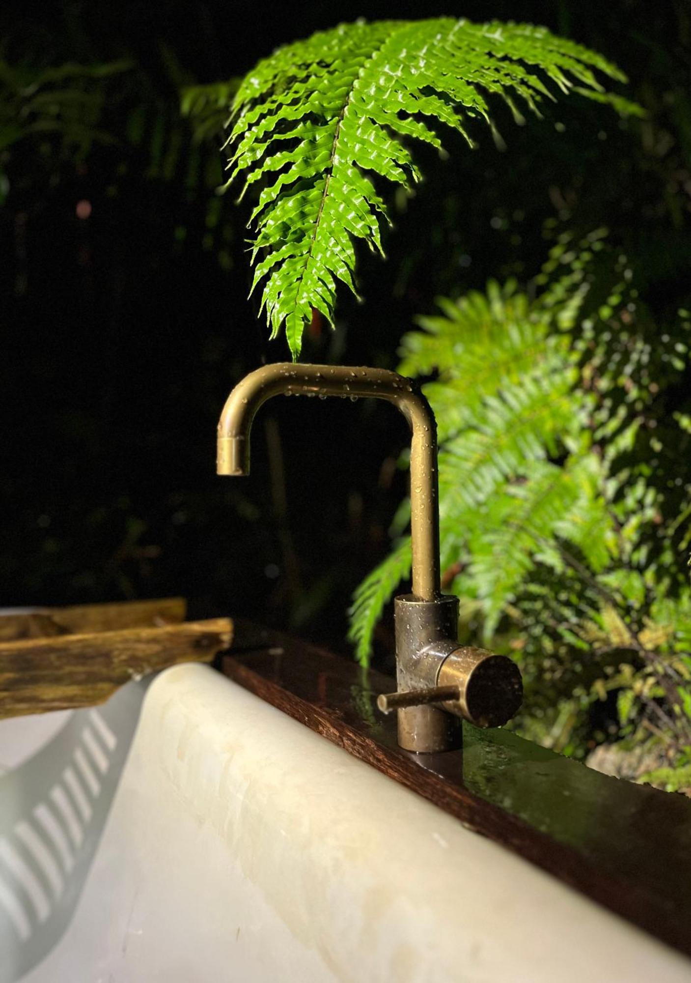 Punakaiki Forest Retreat Экстерьер фото